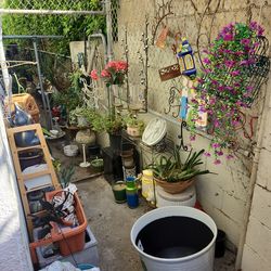 Big plant yard sale today!!! Open now!