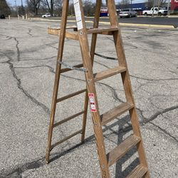 6 Foot Werner Ladder 