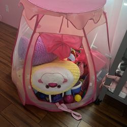 Princess Tent And Ball Pit With Toys