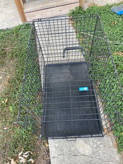 Aspen Wire Dog Crate with Tray