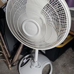 Fan