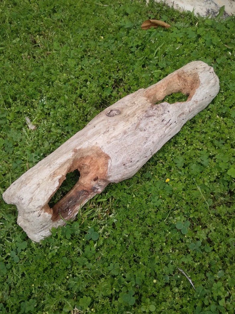 Genuine Natural Driftwood 