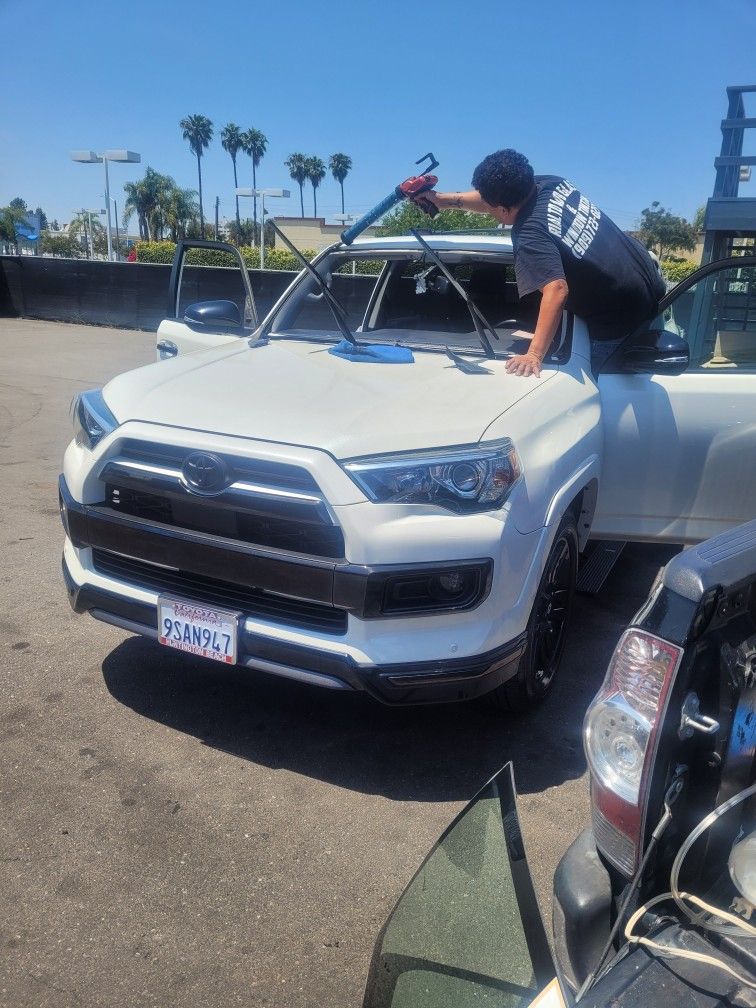 Automotive Tint