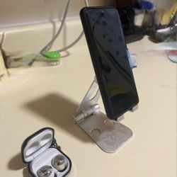 S21 Ultra + Buds Pro