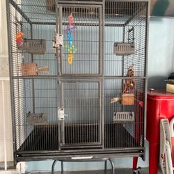 Birdcage