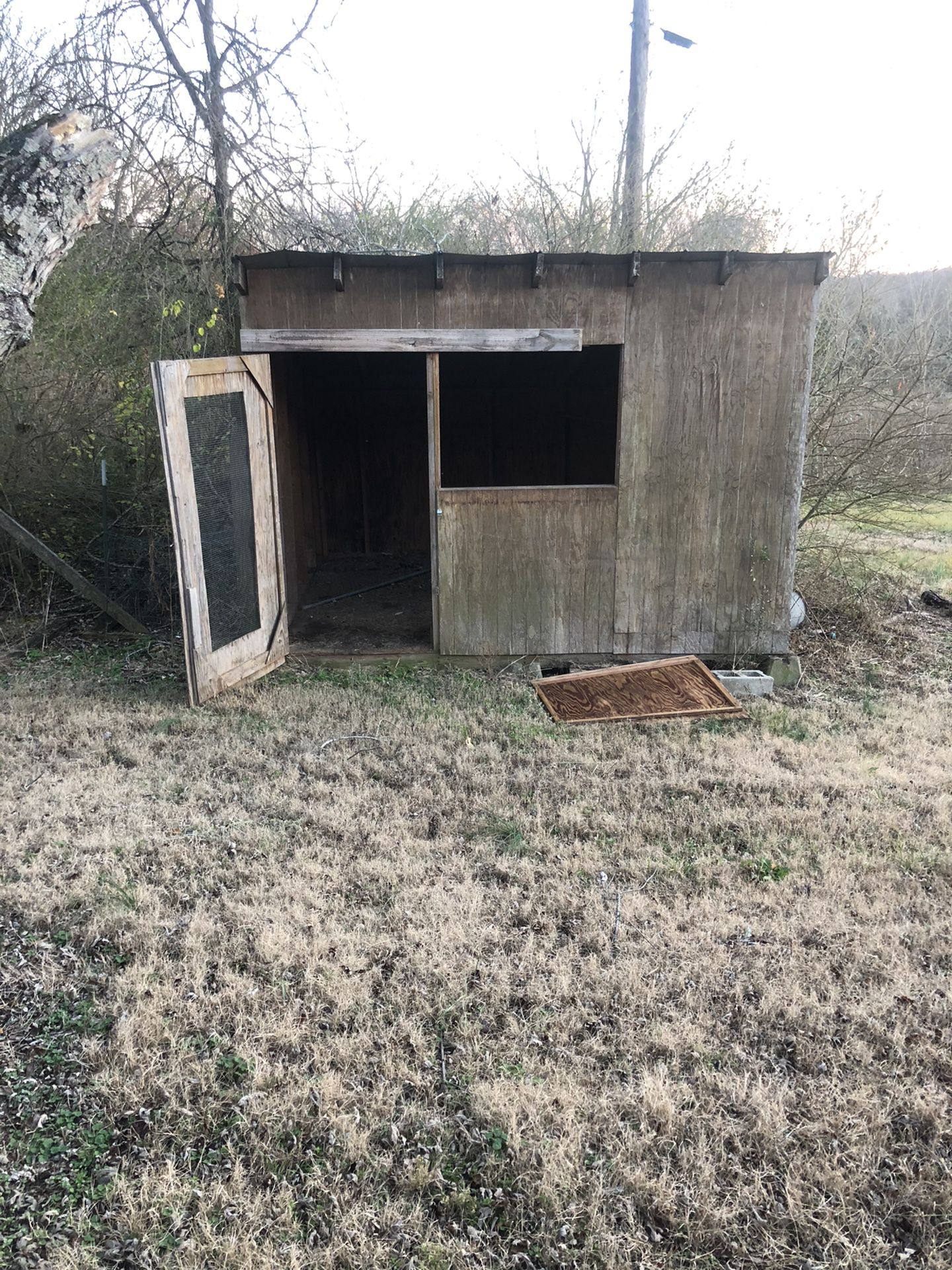 Free Nice Shed Moving And Don’t Need