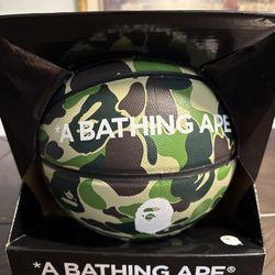 Bathing Ape Basketball
