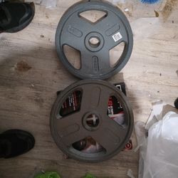 35lb Olympic weights