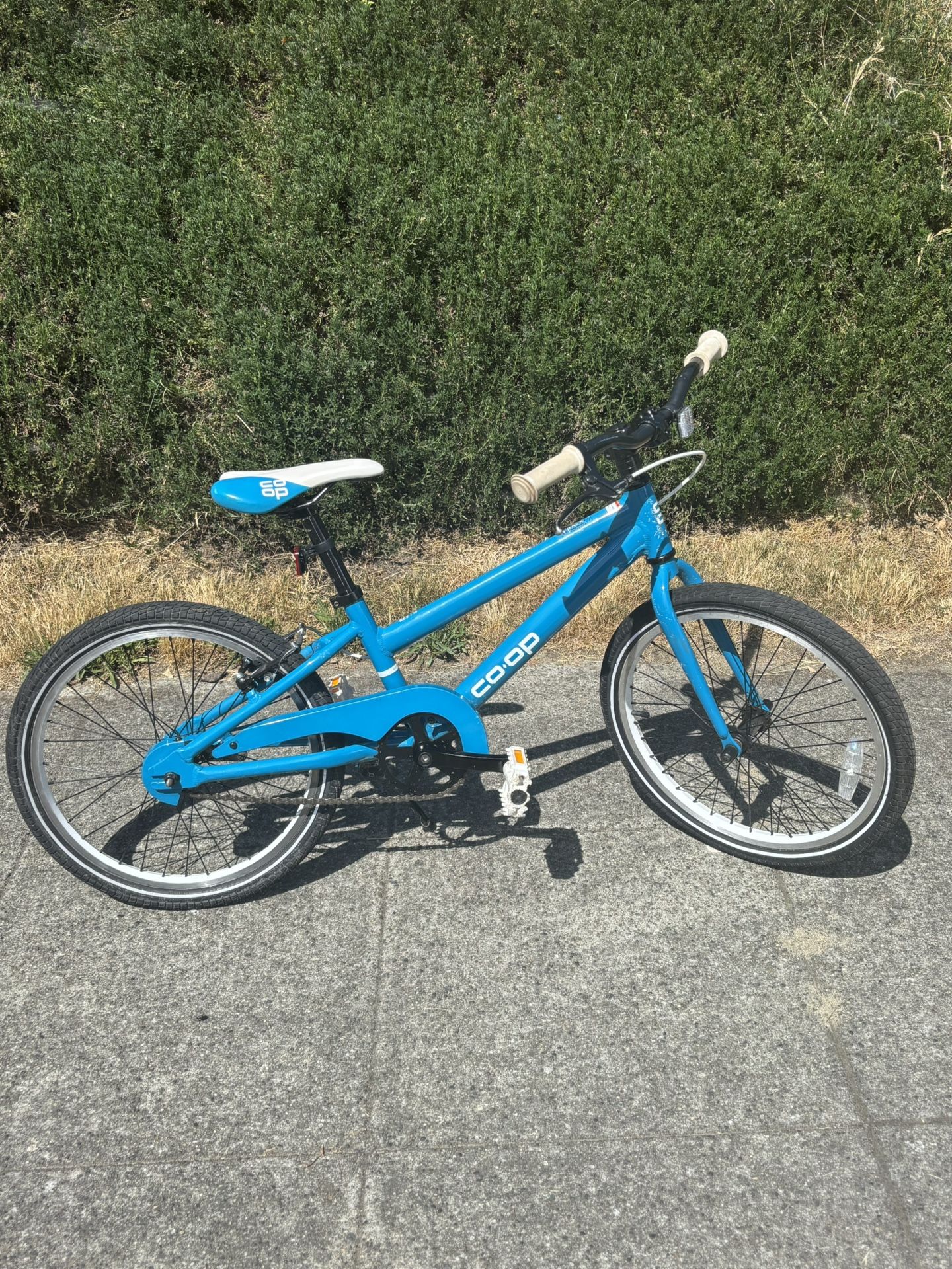 REI COOP BIKE REV 20 (20”)