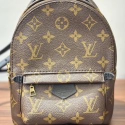Louis Vuitton backpack