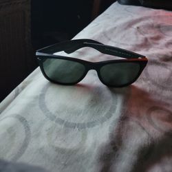 NewWayfarer Sunglasses