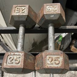 25 Lb Dumbbells 