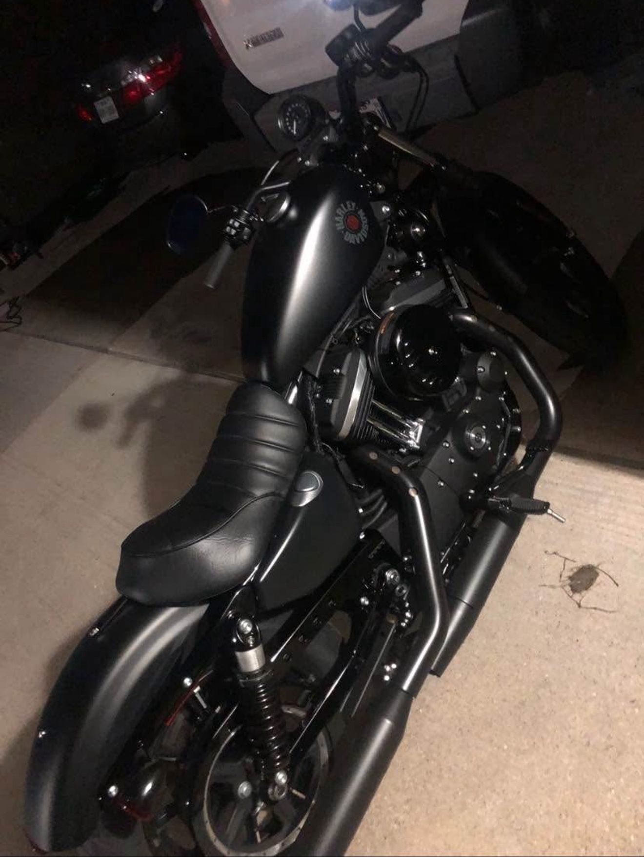 2020 Harley Davidson Iron 883