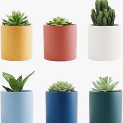 Ceramic Plant Succulent Pot 6-pack
