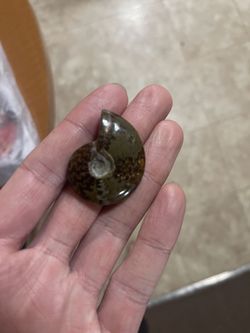 Fossil