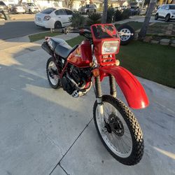 1983 Honda XL600R