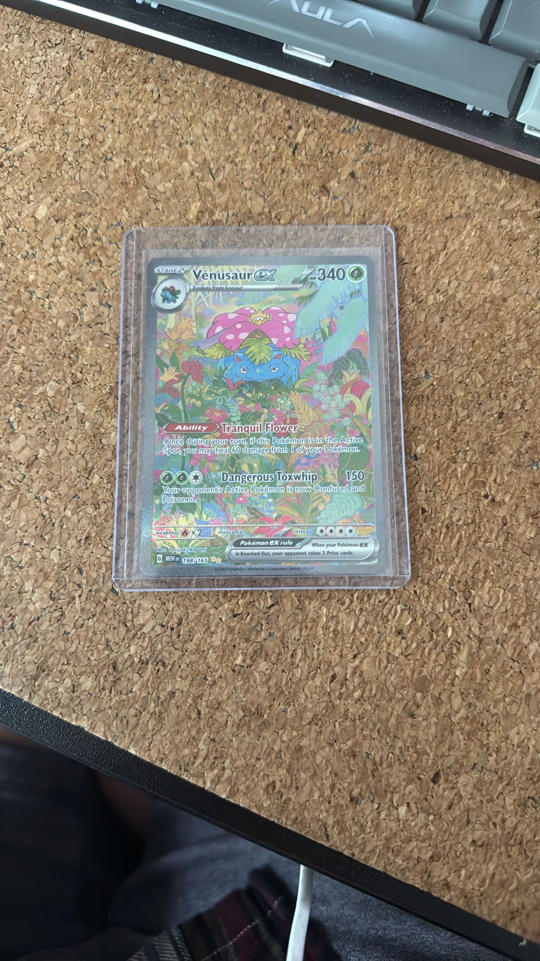 Pokemon Venusaur Ex - 198/165