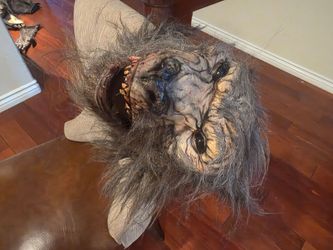 Professional Halloween costume