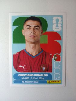 FIFA World Cup Panini Sticker. Trade Only, Not For Sale.
