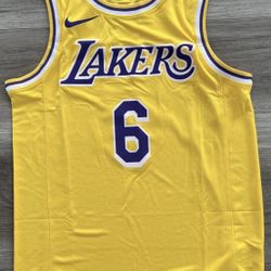 Lebron James #6 Lakers Jersey