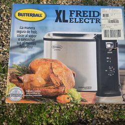 Electric Fryer