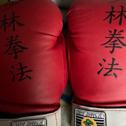 Boxing Gloves 