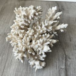 White Coral Piece  6.5” X 5”