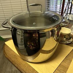 Stainless Steel 16qt Pot