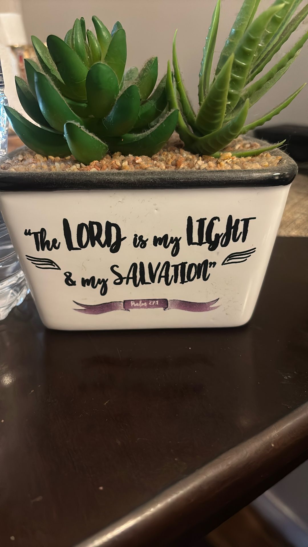 Plant Pot