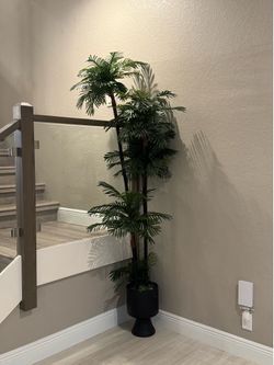 Tall Decorative Plant