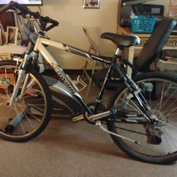 Schwinn's Mountain Bike