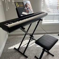 Roland FP-10  Digital Piano (New) $400