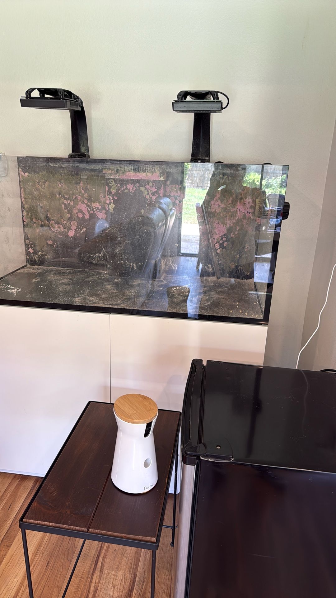 Fish Tank