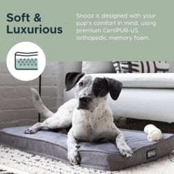 Memory Foam Dog  Bed 19" x 2.75" x 30.5") I Medium