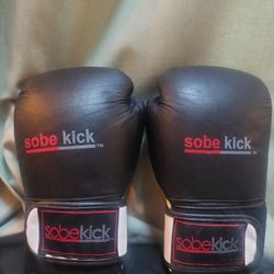 Martial Arts Boxing Gloves 
