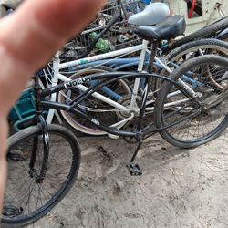 Beach Cruiser
