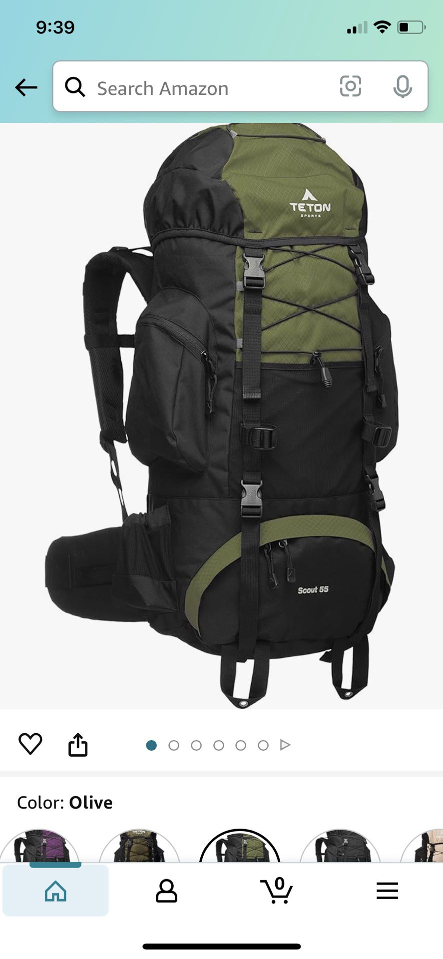 Teton Sport Backpacking Pack