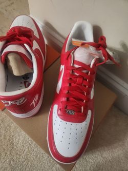 Nike Air Force 1 Terror Squad
