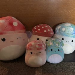 Squishmallow Mushroom Set 