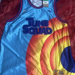 Lebron James Space Jam Jersey