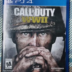 Call of Duty WW2 II 2 (Sony Playstation 4, PS4) World War 2 Tested With Case