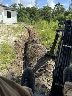 Busch Clearing, Garden Cleaning, Planting, Trenching & More FREE Estimates