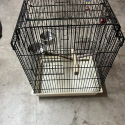 Bird Cage