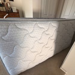 Twin Mattress & Boxspring & Eggshell Comfort Mat 