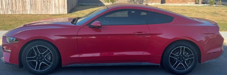 2019 Ford Mustang