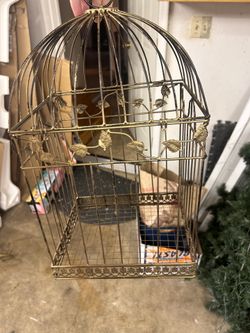 Brass Golden Decorative Bird Cage
