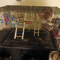 Fully Setup Small Bird/ Parakeet Cage