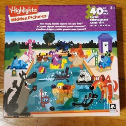 Hidden Pictures Pool Puzzle 