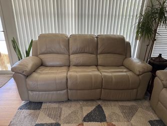 Power Sofa and Power Recliner