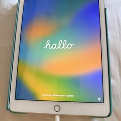 Ipad Pro(9.7 Inch) With Adjustable Case